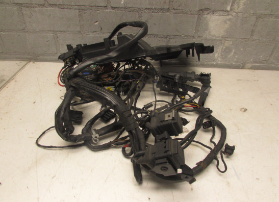 Kabelboom BMW K 1200 RS