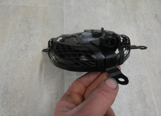 Fan Suzuki GSX R 1300 Hayabusa