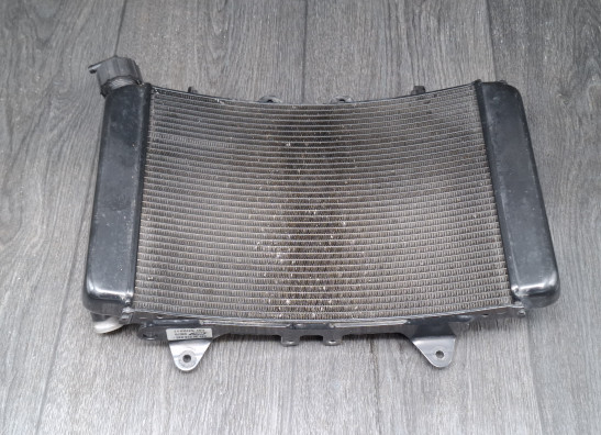 Radiator KTM 790 Duke