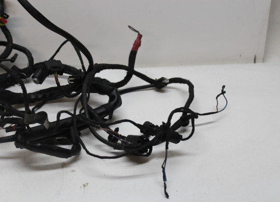 Kabelboom BMW F 800 S - ST