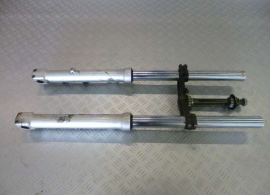 Voorpoten compleet Triumph Sprint 900 1996-1998