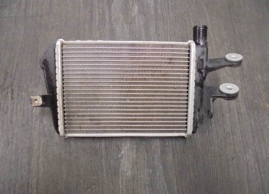 Radiateur BMW R 1250 GS 2018-2020, 2021-2022