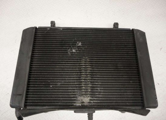 Radiator Suzuki GSR 600