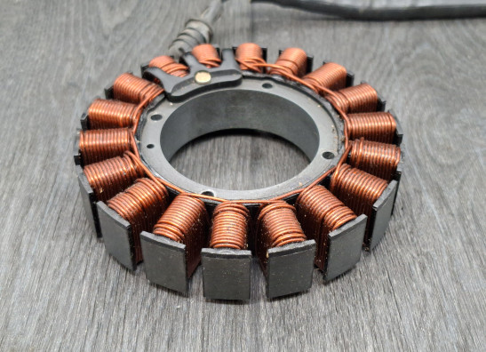 Dynamo Harley Davidson Touring FL