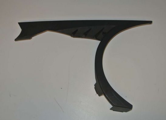 Kettenschutz BMW F 800