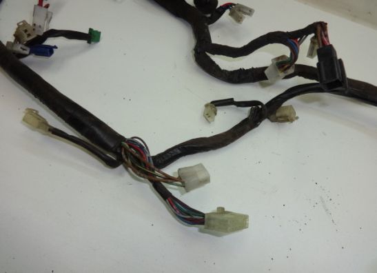 Wire Harness Yamaha XJ 900 S Diversion