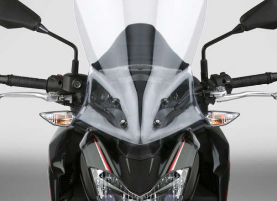 Scheibe Windschild Kawasaki Z 900