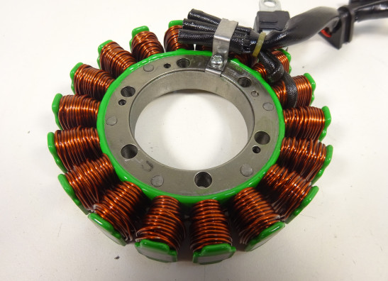 Dynamo Aprilia Tuono 660