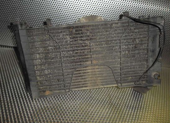 Radiator Honda CBR 600 F