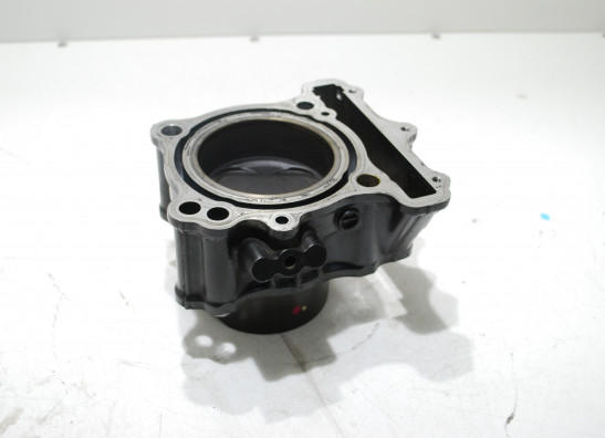 Cilinderblok Suzuki SV 650