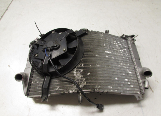Radiateur Suzuki GSX R 600