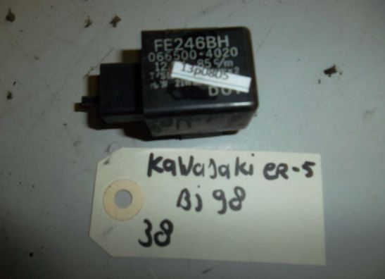 Other Kawasaki ER 5