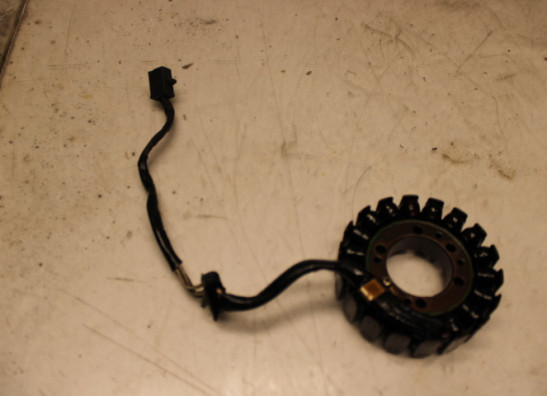 Dynamo Kawasaki ER 6