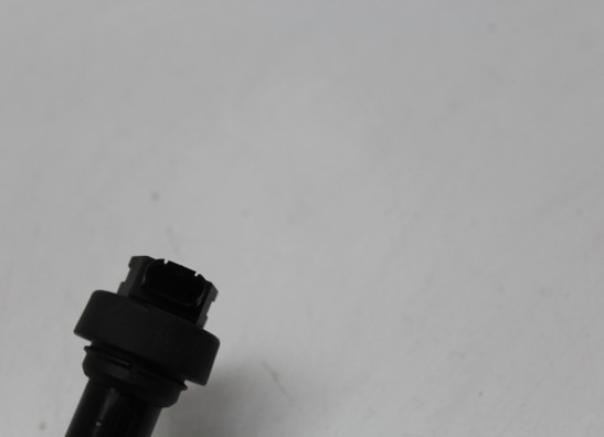 Bobine BMW F 800 S - ST