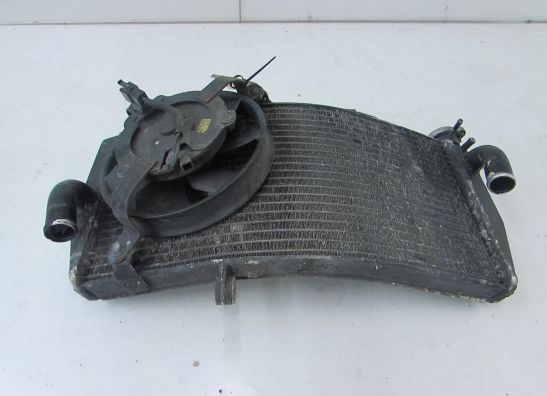 Radiator Honda CBR Fireblade