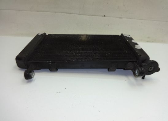 Radiateur Yamaha YZF 600 Thundercat