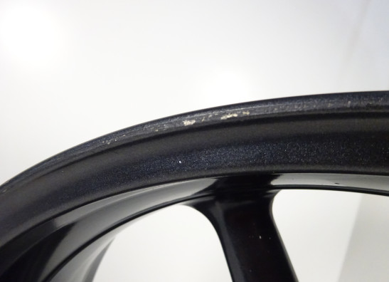 Achtervelg Triumph Street Triple 675