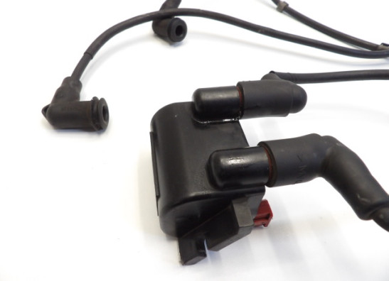 Bobine BMW R 1150 R 2001-2005