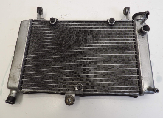 Kuhler Yamaha FZR 600