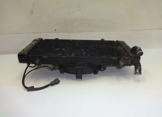 Radiator Honda CBR 1000 F