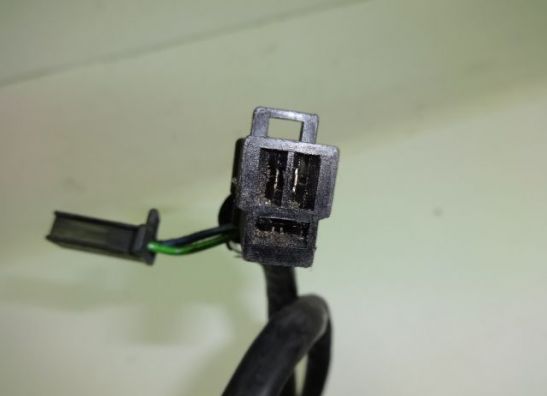 Dynamo Suzuki TL 1000