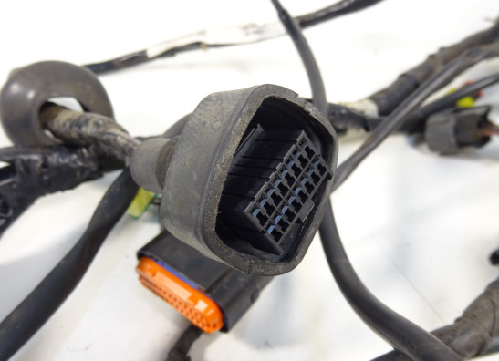 Wire Harness Yamaha YZF R 125