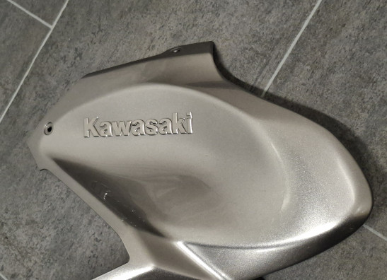 Linker zijkuip klein Kawasaki Z 900