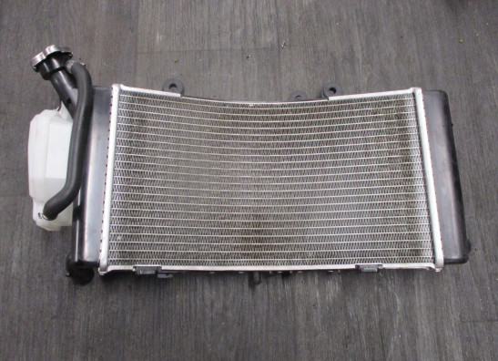 Kuhler BMW F 850 GS Adventure