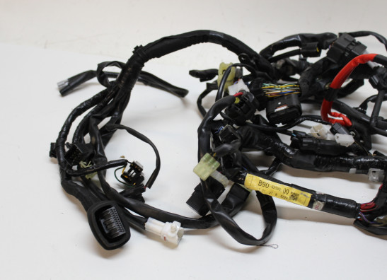 Wire Harness Yamaha XSR 900