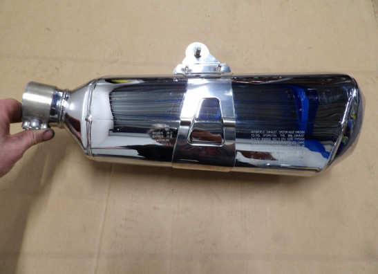 Auspuff BMW R 1250 R