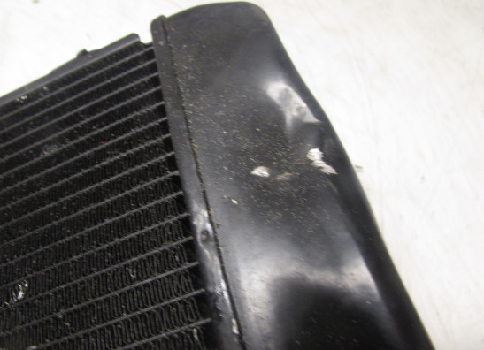 Kuhler Kawasaki ZXR 400