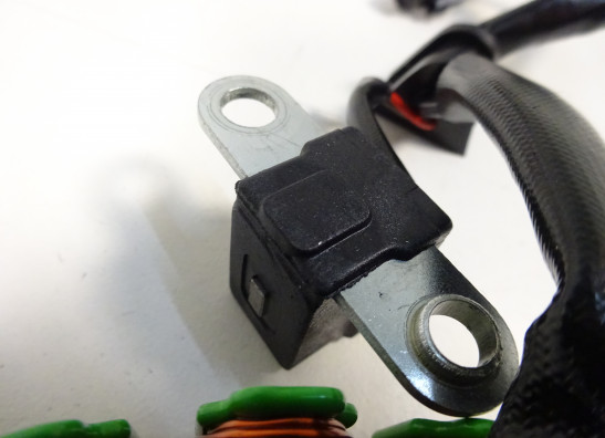 Dynamo Aprilia Tuono 660