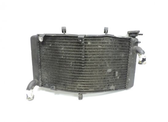 Kuhler Honda CBR 900 RR