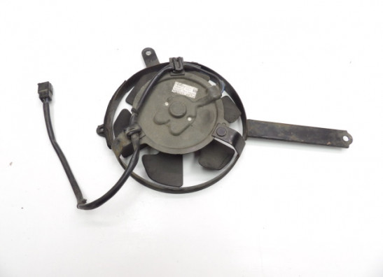 Fan Yamaha YZF 1000 Thunderace