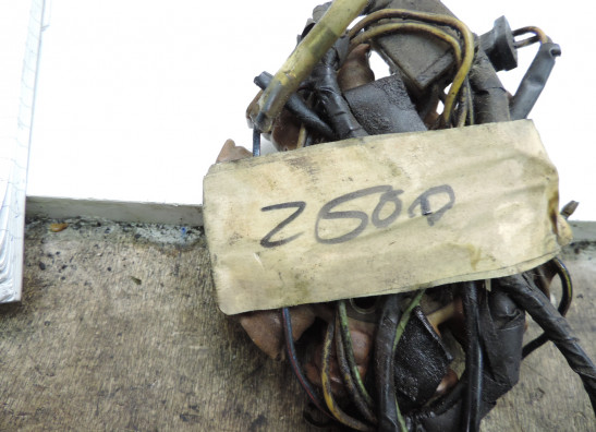 Lichtmaschine Kawasaki Z 500