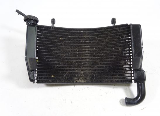 Radiator Ducati 749  999