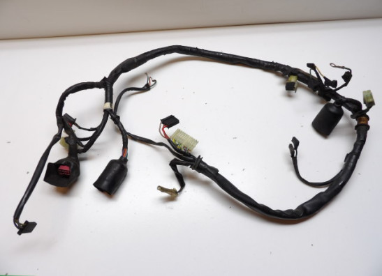 Wire Harness Honda CMX 450
