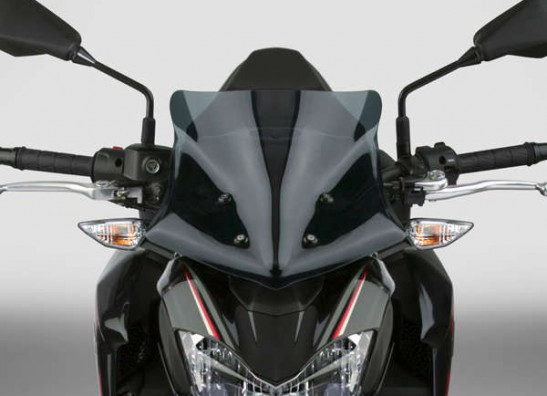 Scheibe Windschild Kawasaki Z 900