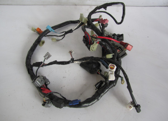 Wire Harness Honda CBR Fireblade