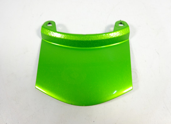 Heck Kawasaki ER 6