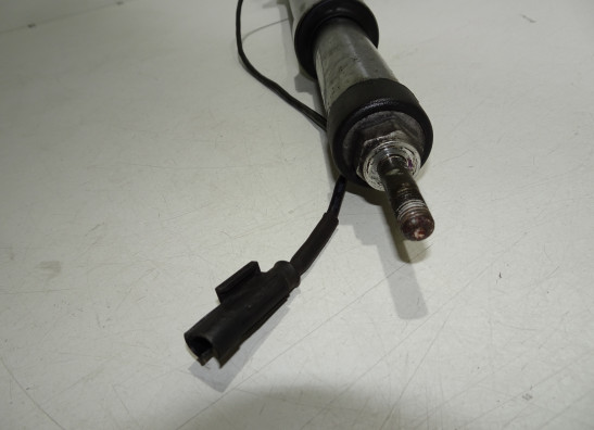 Voorpoot links compleet BMW R 1100 RT