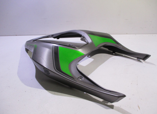 Heck Kawasaki Z 900
