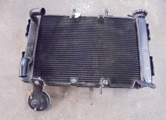 Radiateur Triumph Tiger 660 Sport