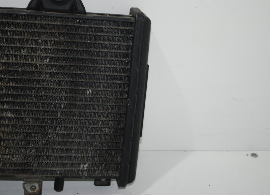 Radiateur Triumph 900 Daytona