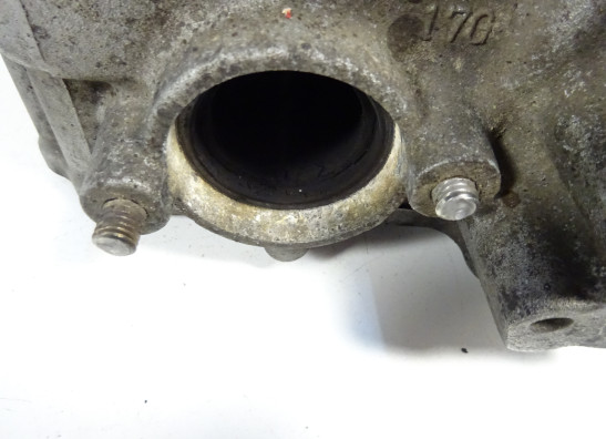 Zylinderkopf Suzuki SFV 650 Gladius