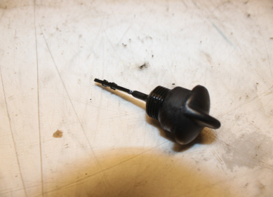 Motorblok diverse Aprilia Sportcity 300