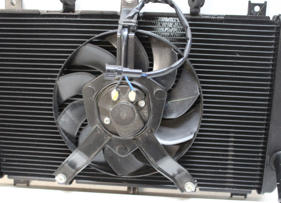 Radiateur Kawasaki Z 900