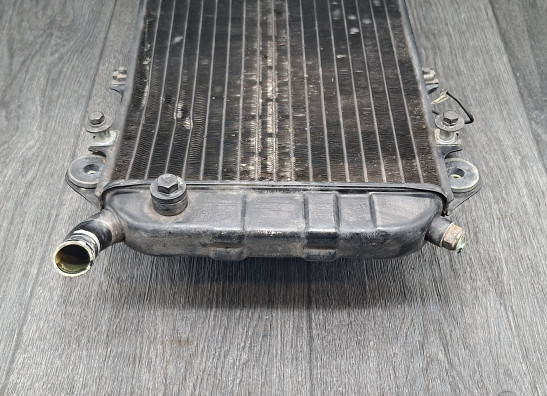 Radiator Kawasaki VN 700  750