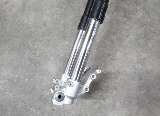 Voorpoten compleet BMW F 850 GS