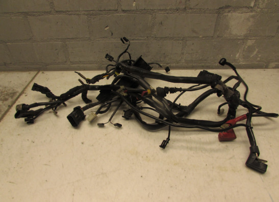 Kabelboom Ducati monster 900